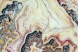 Polished, Crazy Lace Agate Slab - Western Australia #96245-1